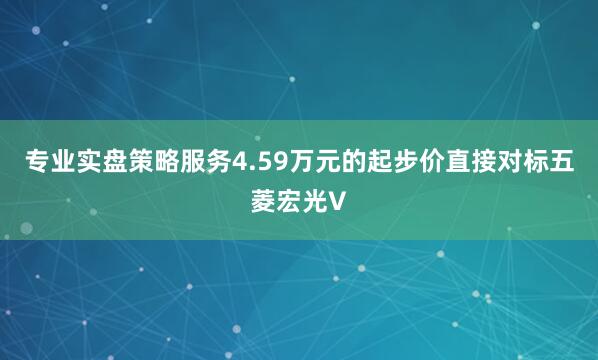 专业实盘策略服务4.59万元的起步价直接对标五菱宏光V