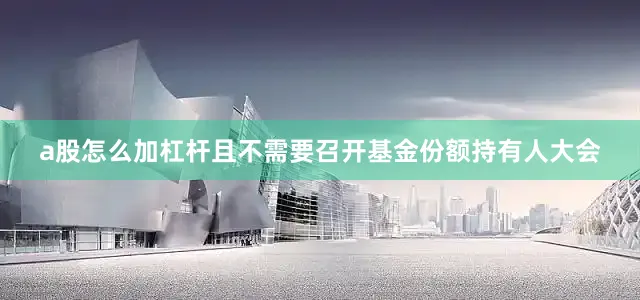 a股怎么加杠杆且不需要召开基金份额持有人大会