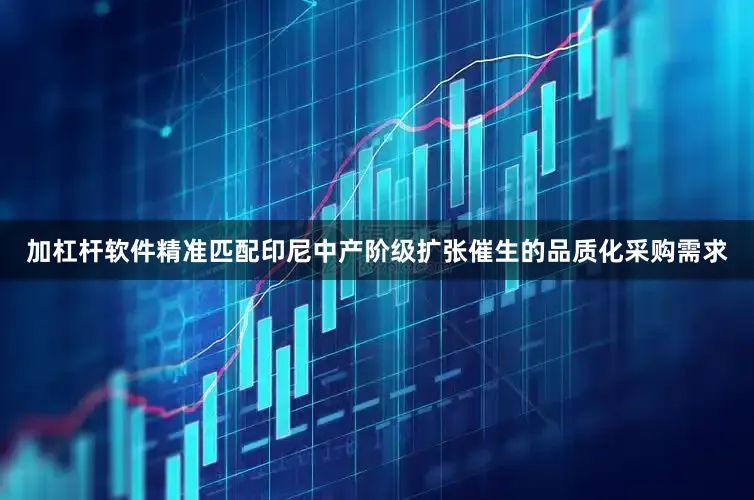 加杠杆软件精准匹配印尼中产阶级扩张催生的品质化采购需求