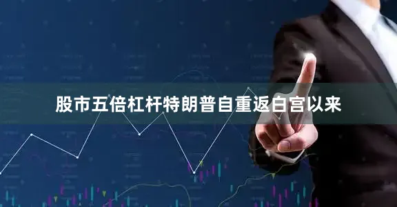 股市五倍杠杆　　特朗普自重返白宫以来